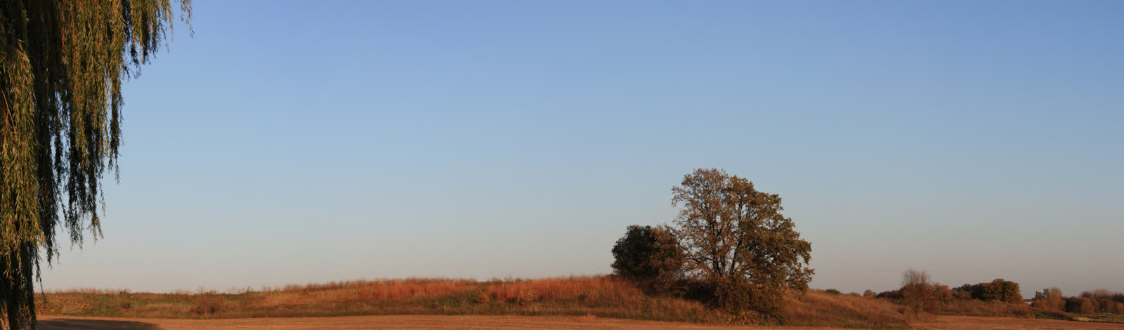 Autumn prairie and trees at dusk near Alto, Wisconsin
